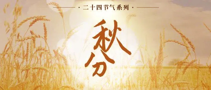 微信截图_20240923103920.jpg