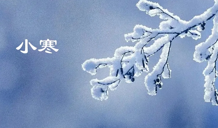微信截图_20250107092431.jpg