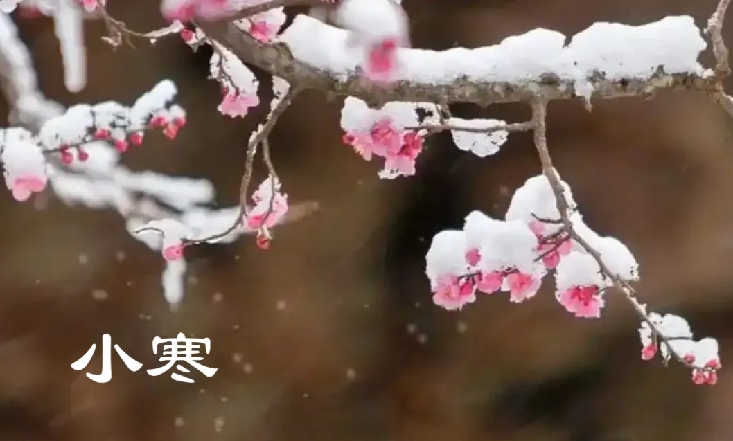 微信截图_20250107092447.jpg