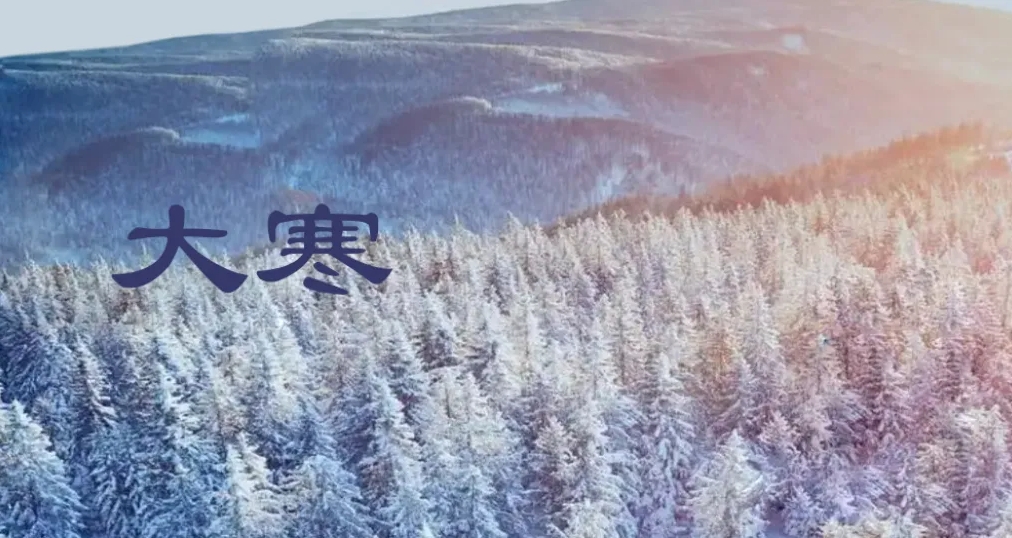 微信截图_20250120120511.jpg