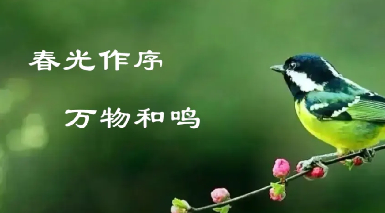 传奇.jpg