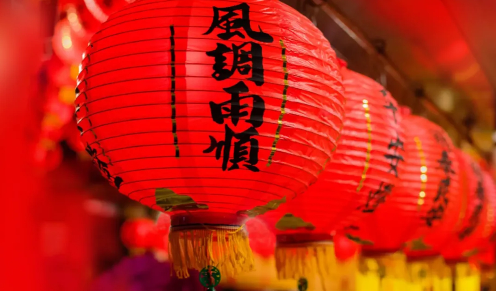 微信截图_20250211150842.jpg
